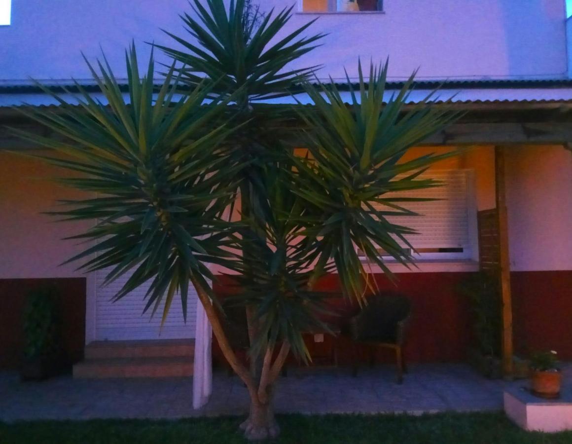 Casablanca El Petit Hotel Deltebre Bagian luar foto